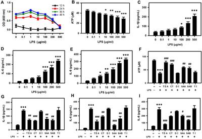 Salvia miltiorrhiza ameliorates endometritis in dairy cows by relieving inflammation, energy deficiency and blood stasis